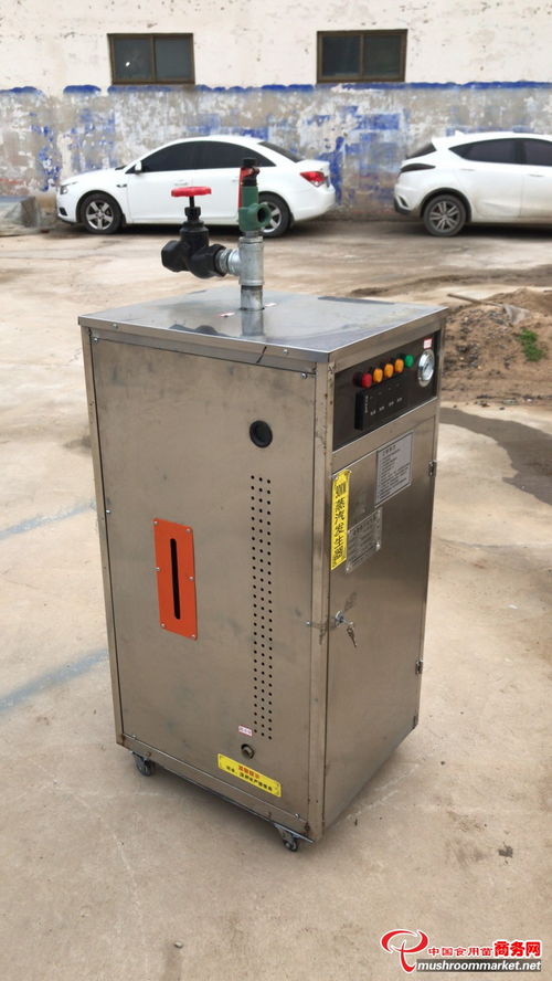 厂家供应小型电加热蒸汽发生器常压小锅炉